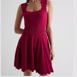 NWT Express Sleeveless Fit & Flare Sweater Tank Dress Pleat Look Red Wine Sm